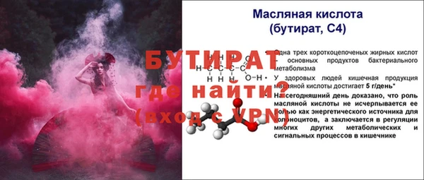 индика Каменногорск