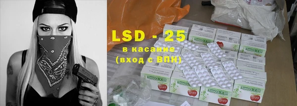 индика Каменногорск