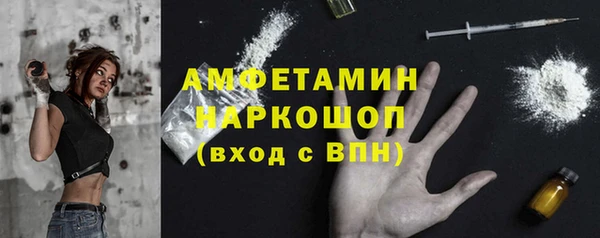 дмт Инта