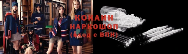 индика Каменногорск