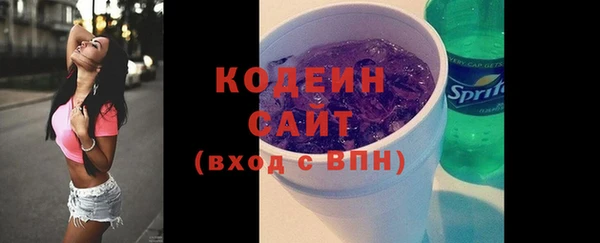 индика Каменногорск