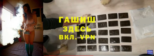 гидра Инсар