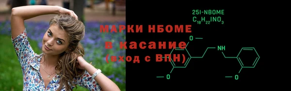 индика Каменногорск
