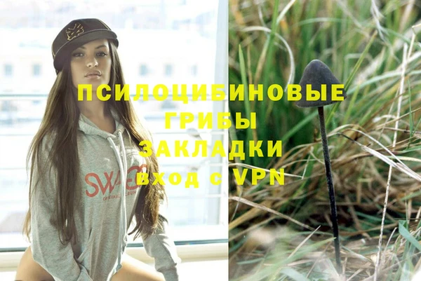 гидра Инсар