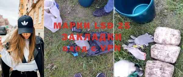 индика Каменногорск