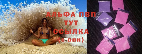 индика Каменногорск