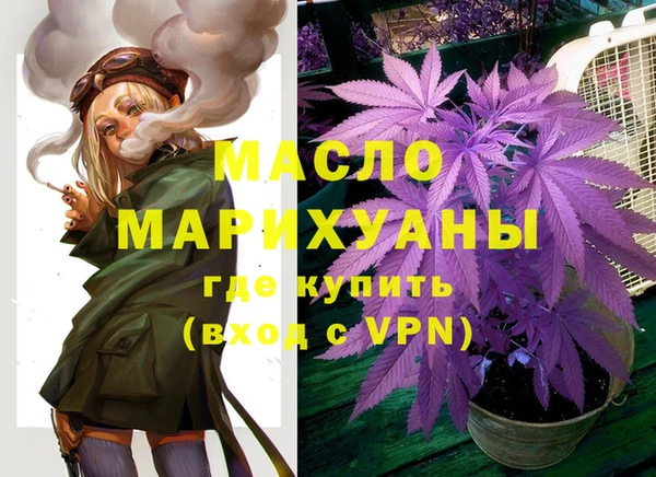 твердый Каменка