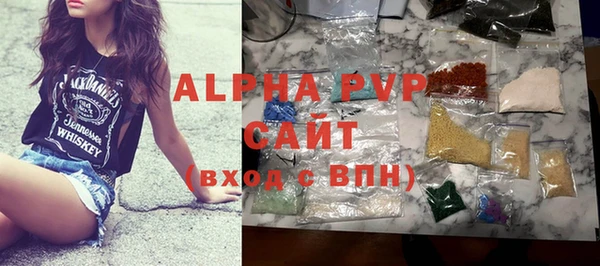 индика Каменногорск