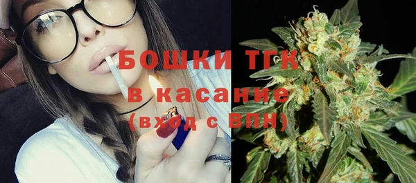 индика Каменногорск