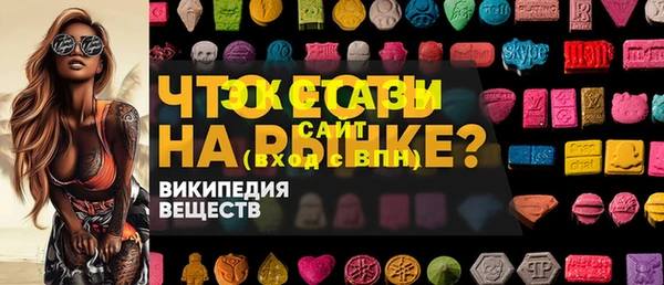 индика Каменногорск