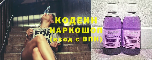 дмт Инта