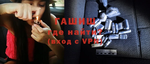 индика Каменногорск
