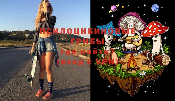 твердый Каменка