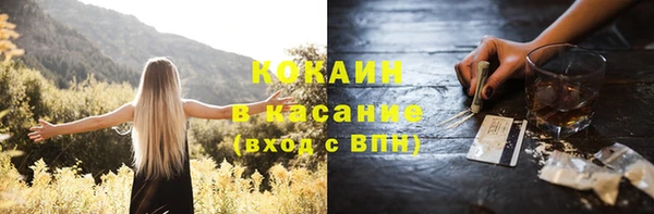 индика Каменногорск