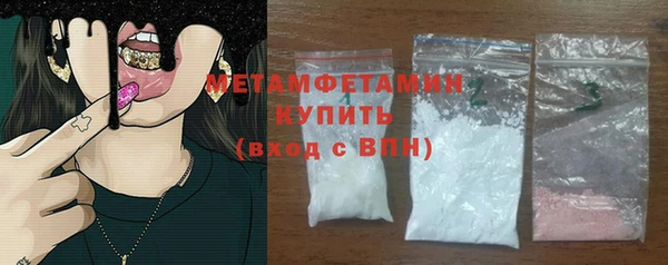 индика Каменногорск
