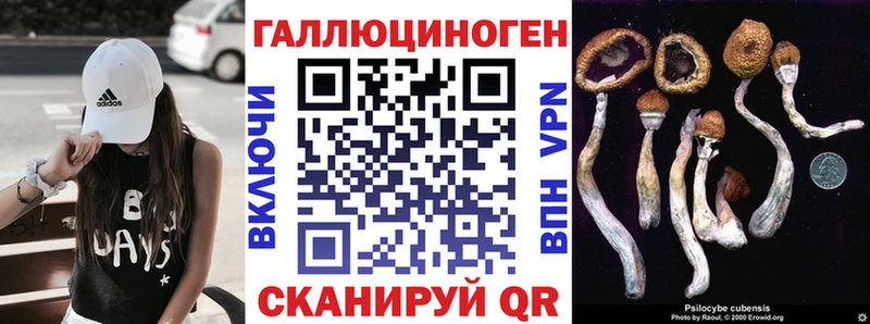 Галлюциногенные грибы мицелий  Купить закладки  Нариманов 